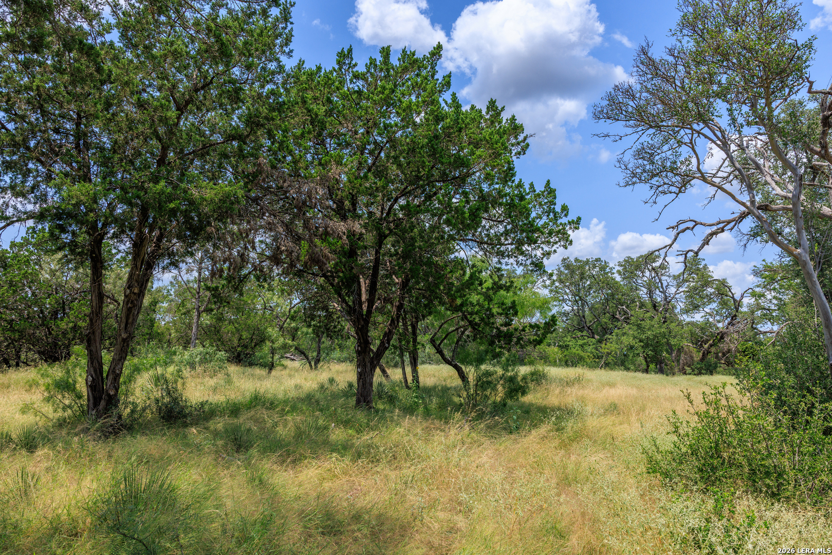 0 Ranch Road 648 Doss TX 78618