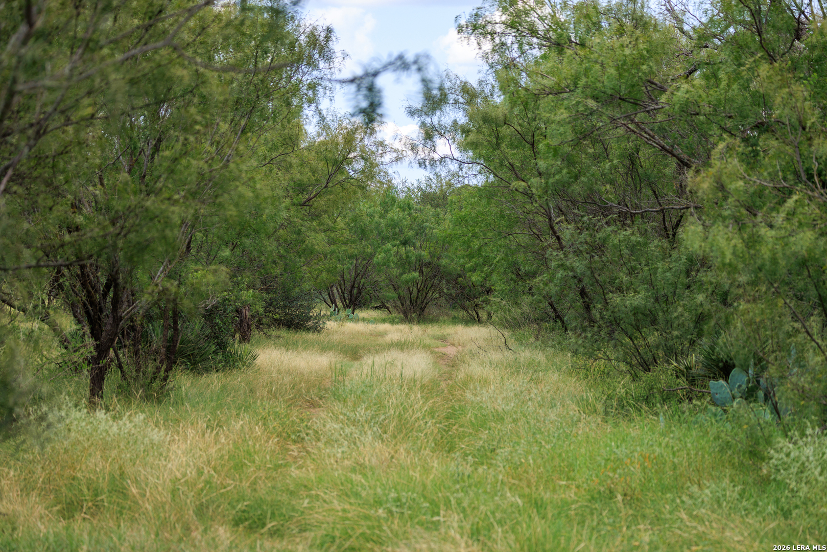 0 Ranch Road 648 Doss TX 78618