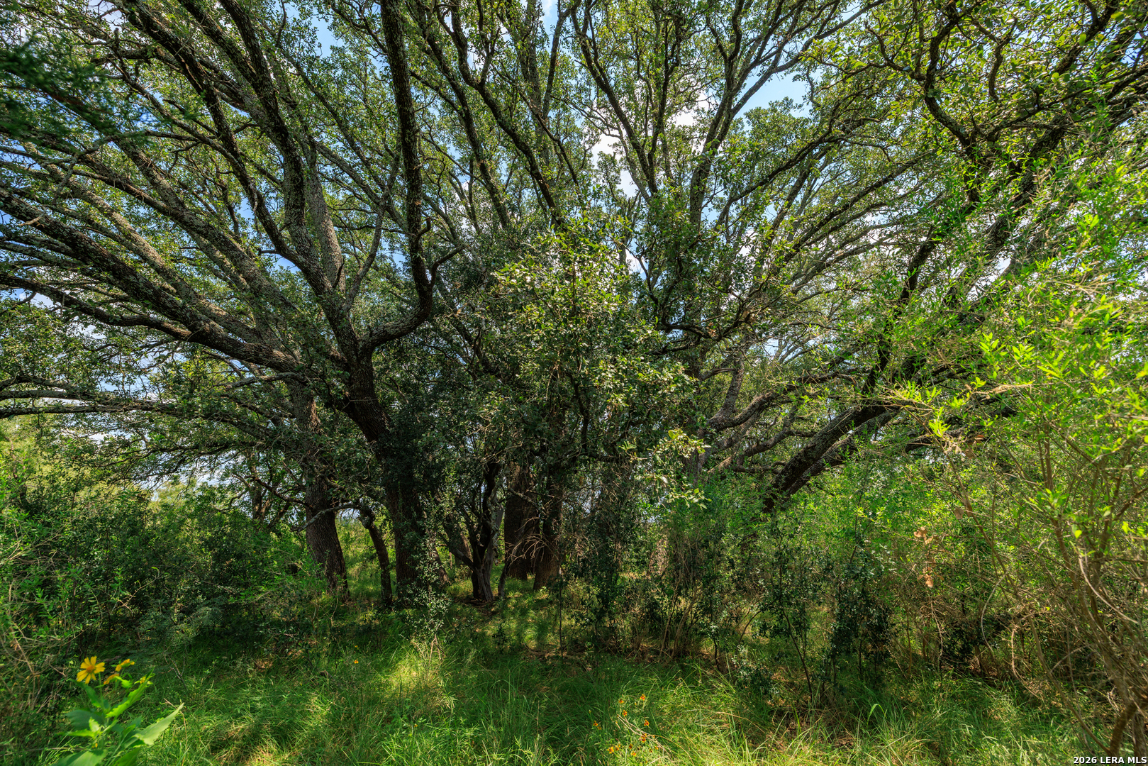 0 Ranch Road 648 Doss TX 78618