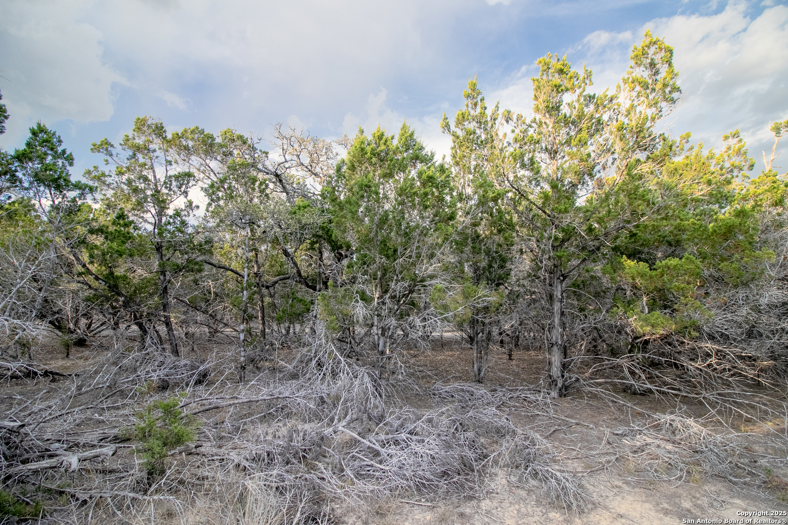 49 Cool Creek Camp Verde TX 78010