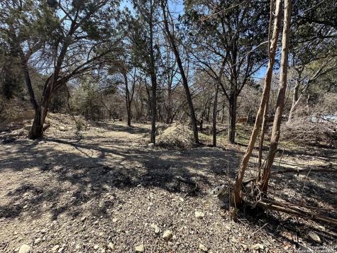 4621 Mccall Creek Road Blanco TX 78606