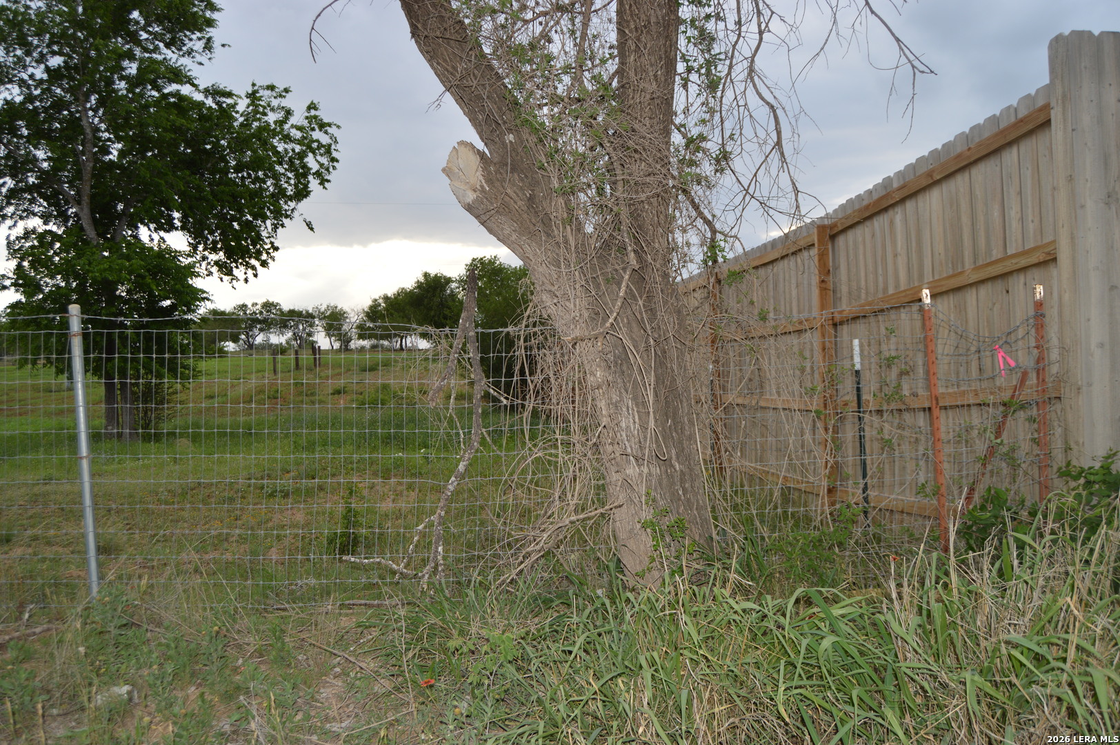 2880 Blue Wing Road San Antonio TX 78221