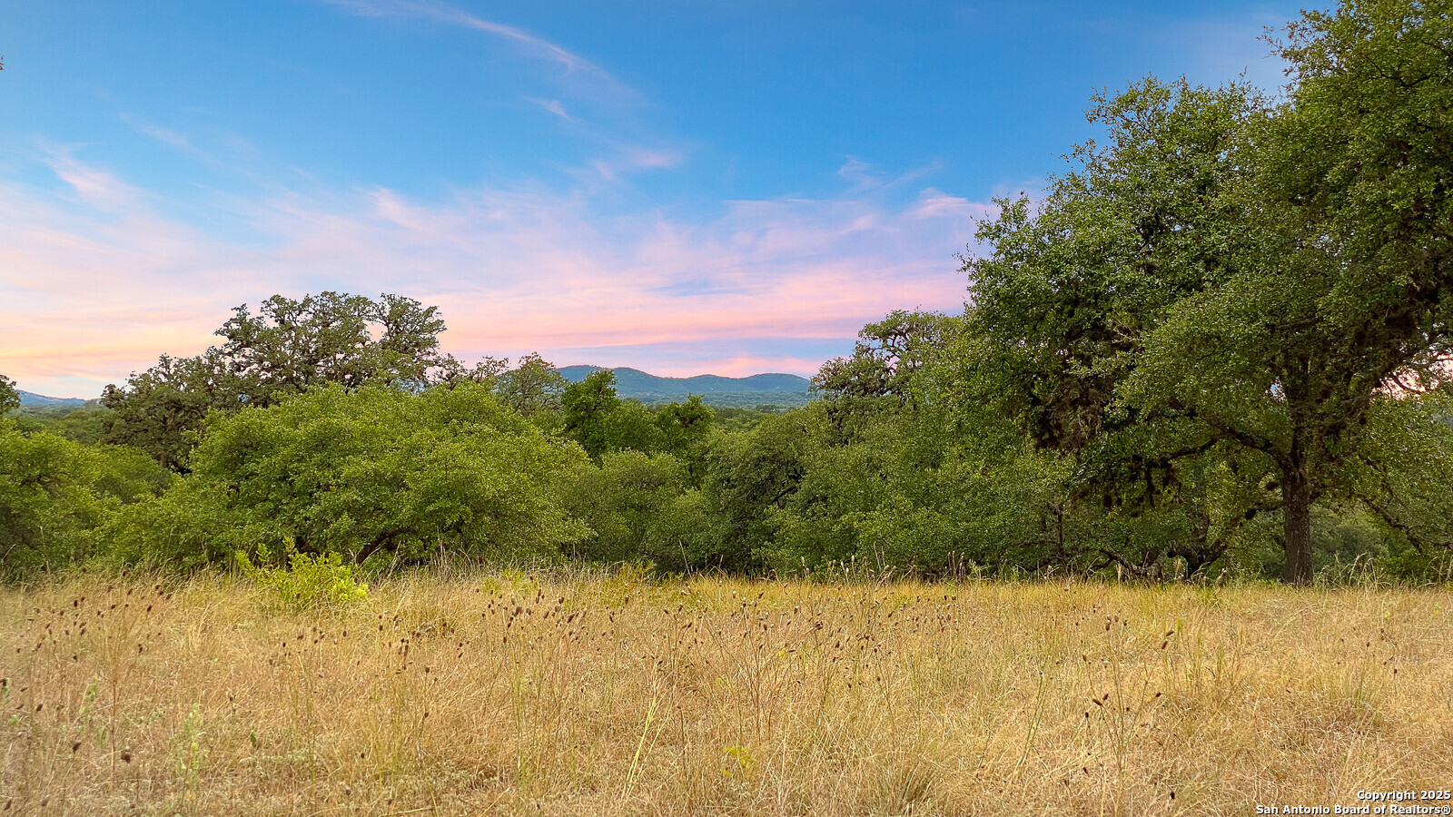2727 Palomino Springs Bandera TX 78003