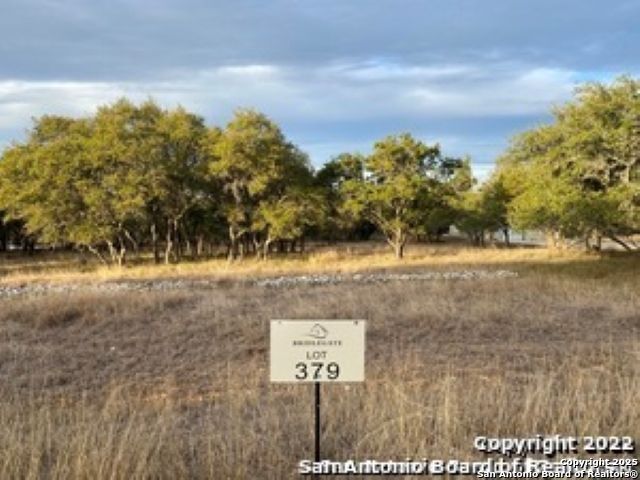 2727 Palomino Springs Bandera TX 78003