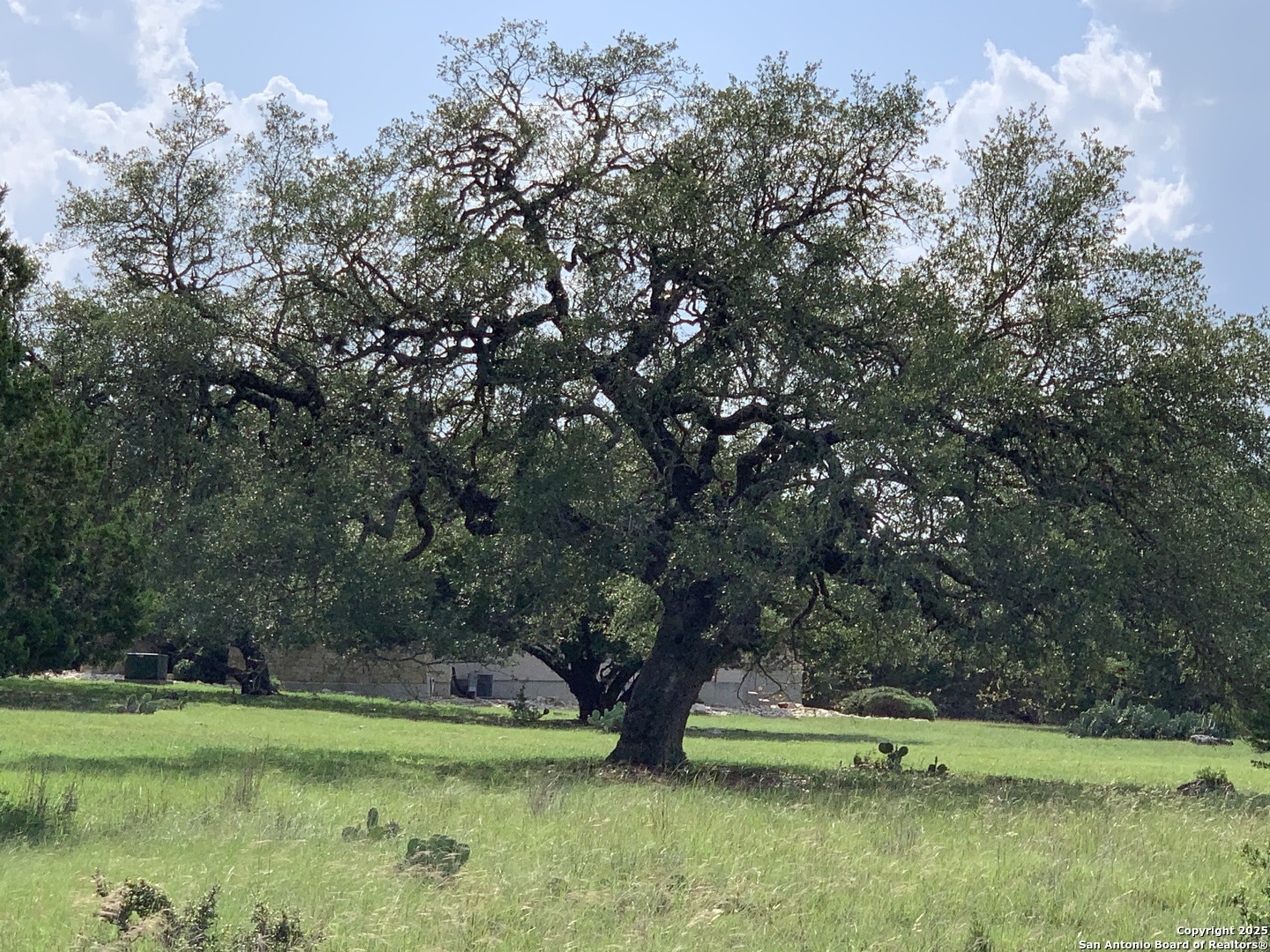 2727 Palomino Springs Bandera TX 78003