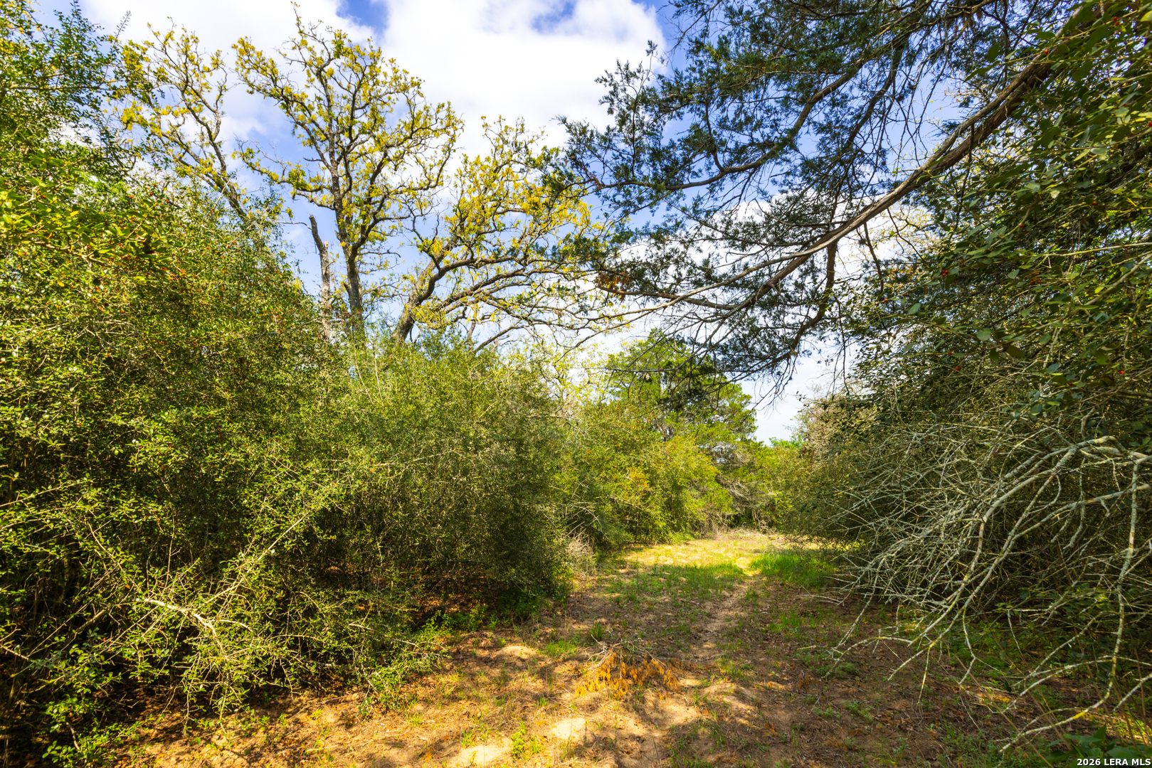 Tbd 73 Acres County Road 442 Harwood TX 78632
