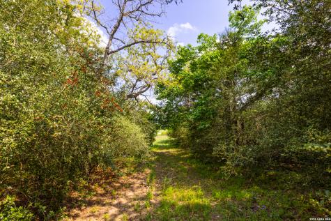 Tbd 73 Acres County Road 442 Harwood TX 78632