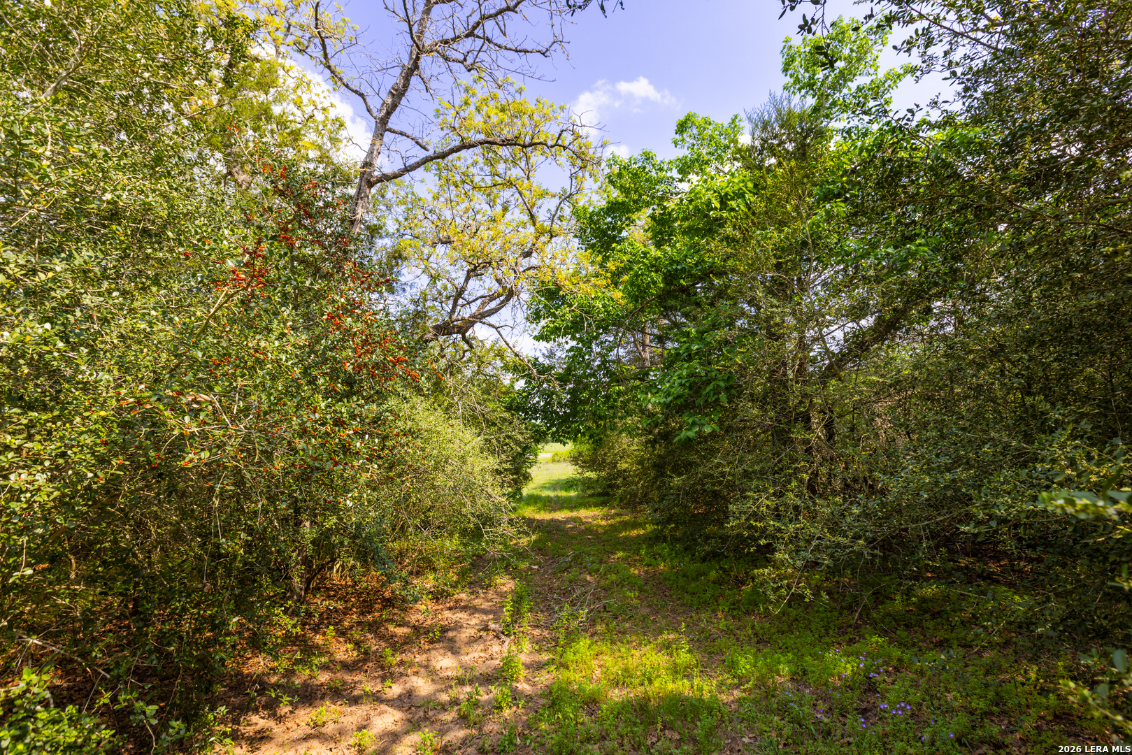 Tbd 73 Acres County Road 442 Harwood TX 78632