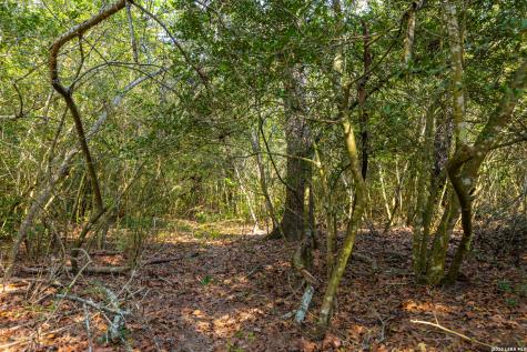 Tbd 73 Acres County Road 442 Harwood TX 78632
