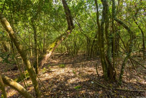 Tbd 73 Acres County Road 442 Harwood TX 78632