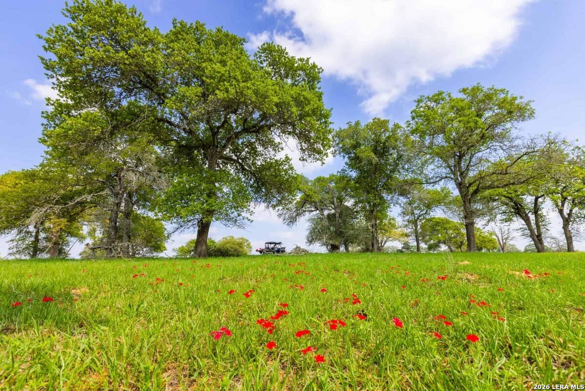 Tbd 73 Acres County Road 442 Harwood TX 78632