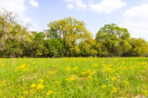 Tbd 73 Acres County Road 442 Harwood TX 78632
