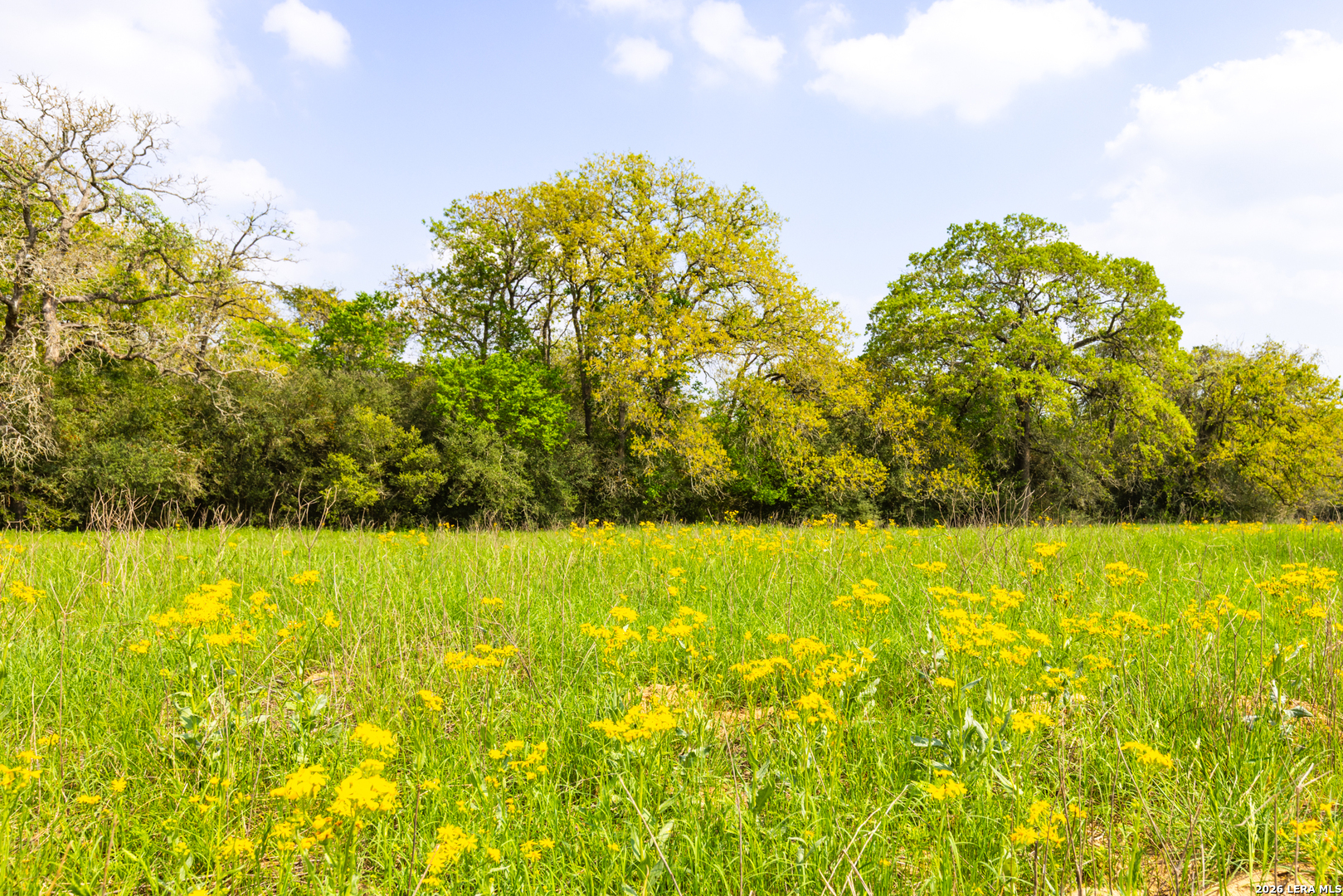 Tbd 73 Acres County Road 442 Harwood TX 78632