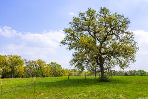 Tbd 73 Acres County Road 442 Harwood TX 78632