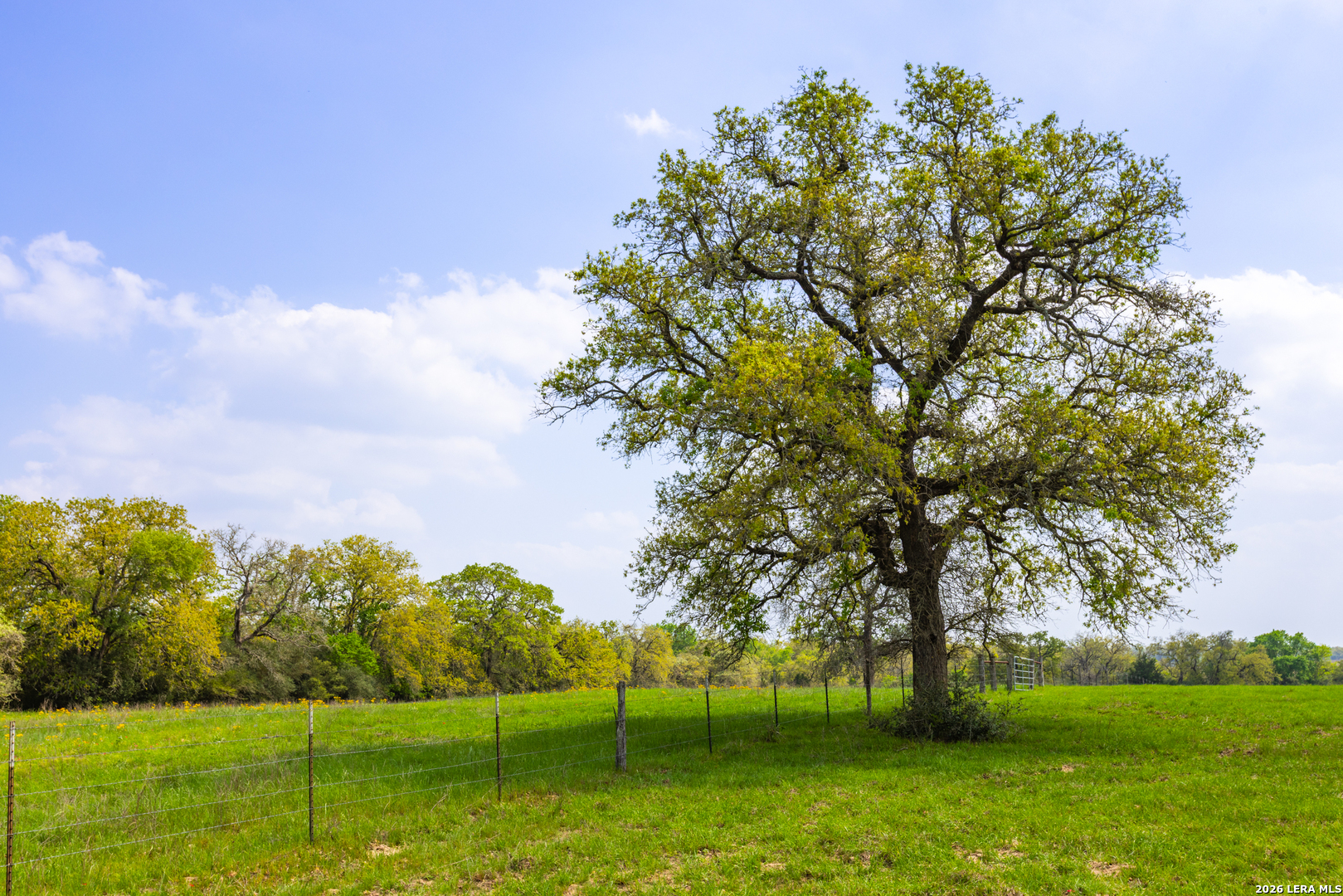 Tbd 73 Acres County Road 442 Harwood TX 78632