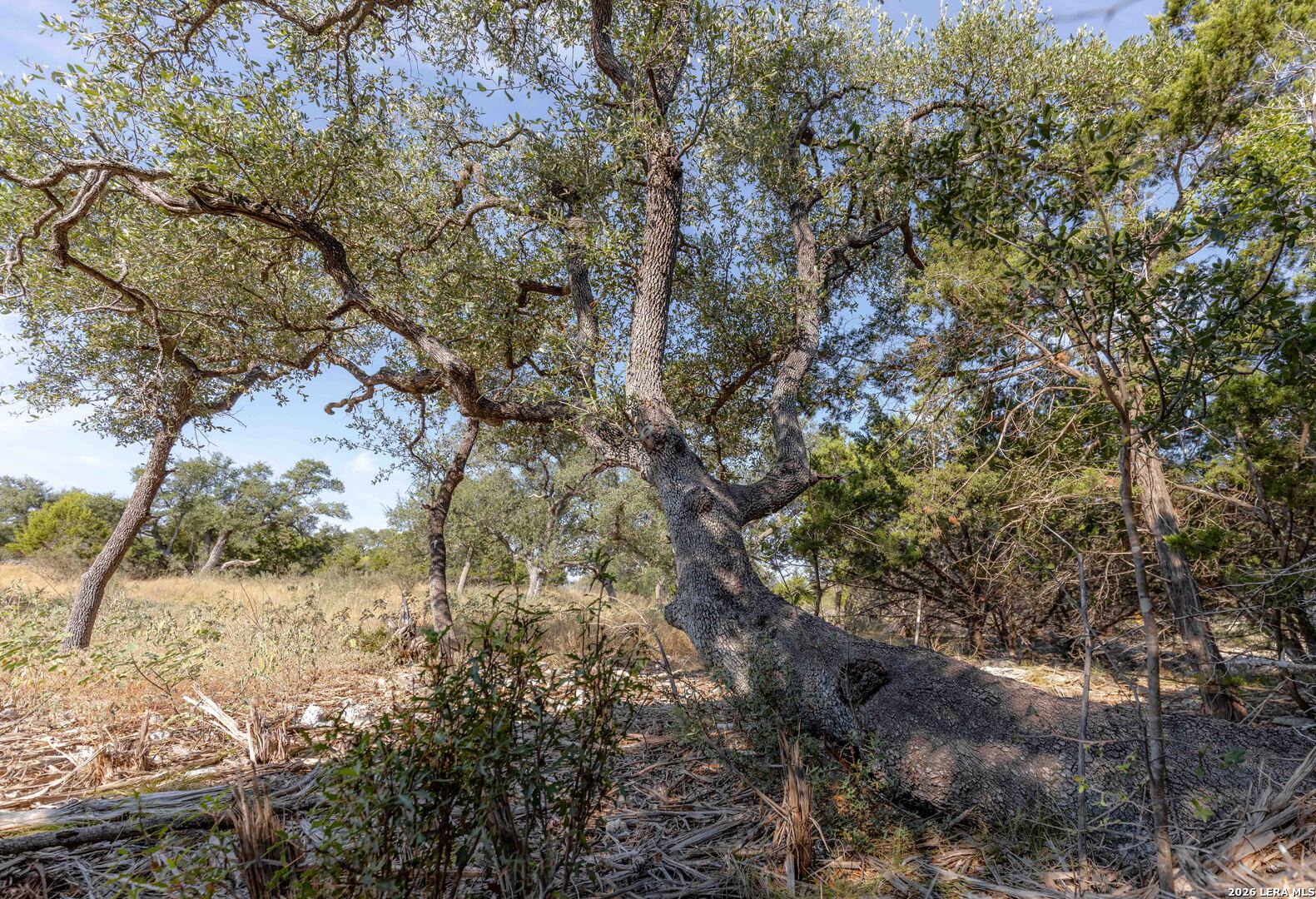 27719 Sunny Point San Antonio TX 78266