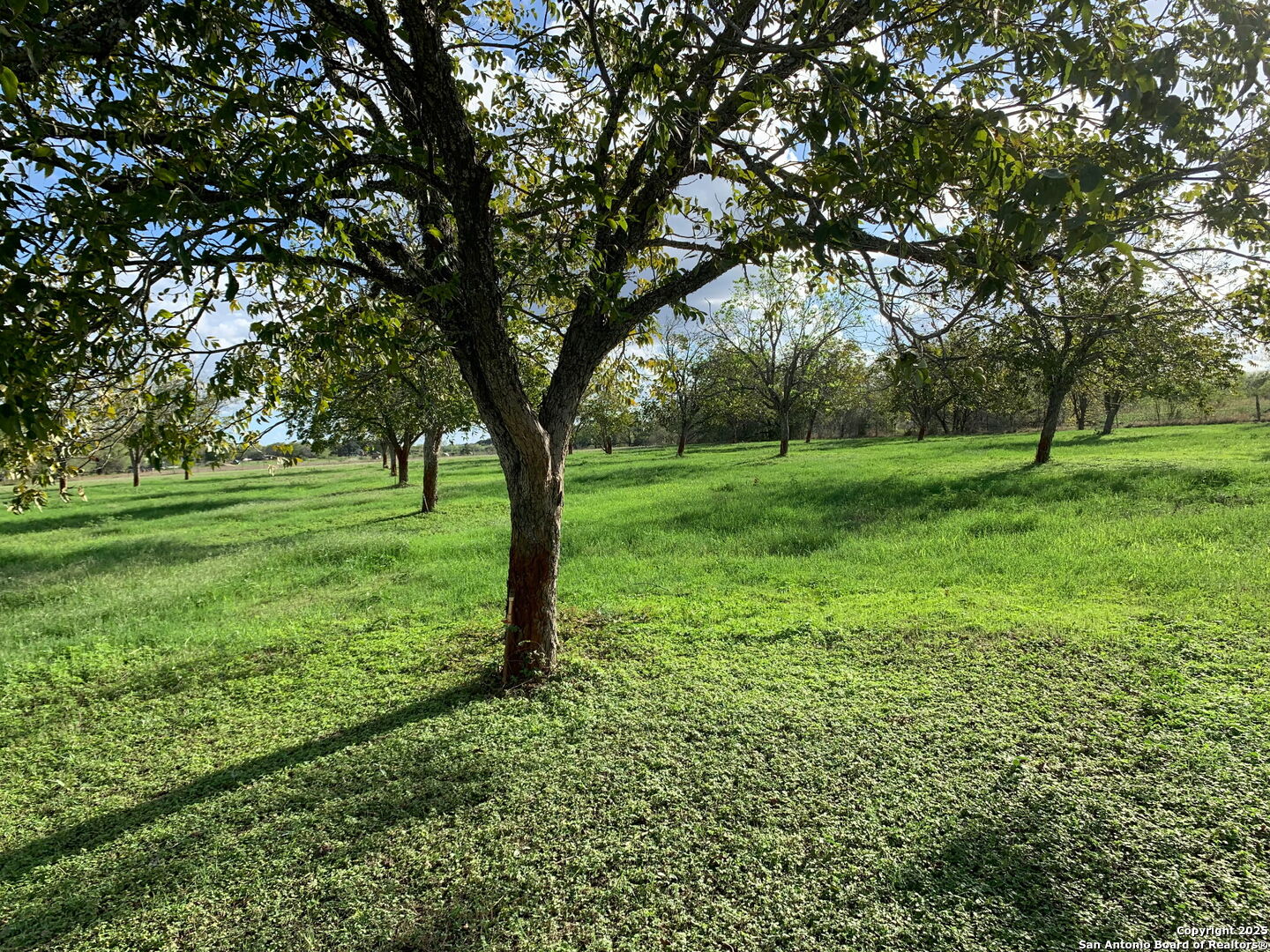 263 Krams Creek Seguin TX 78155