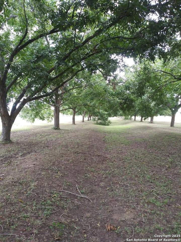 263 Krams Creek Seguin TX 78155