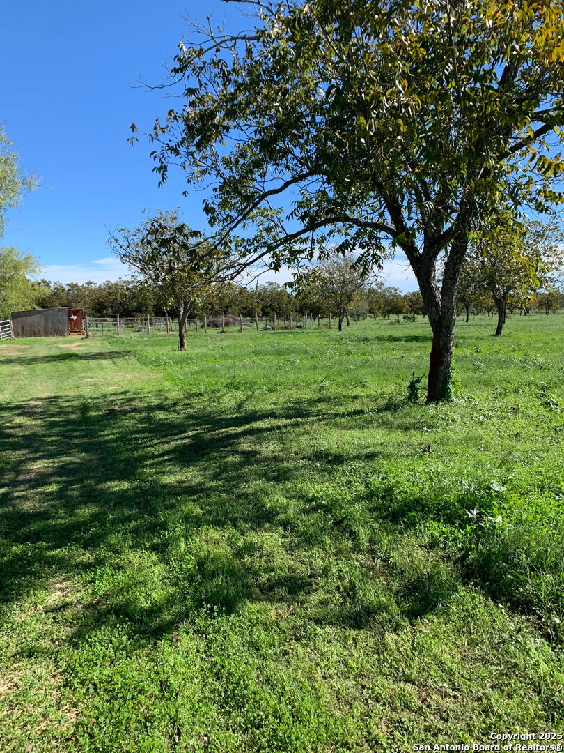 263 Krams Creek Seguin TX 78155