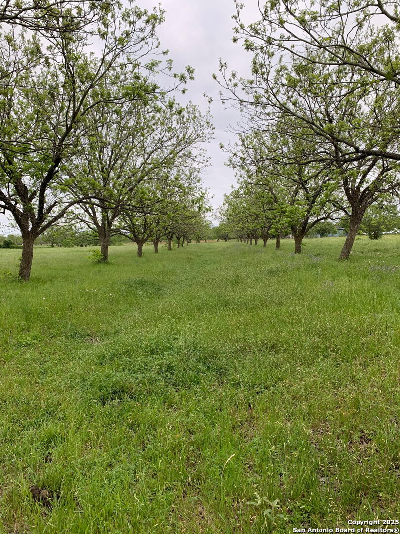 263 Krams Creek Seguin TX 78155