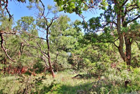 Lot 6 Rr 1323 Willow City TX 78675