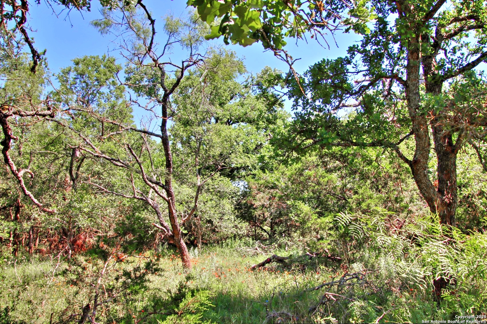 Lot 6 Rr 1323 Willow City TX 78675