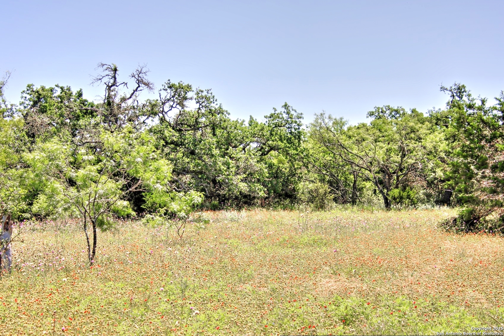 Lot 6 Rr 1323 Willow City TX 78675