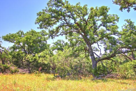 Lot 6 Rr 1323 Willow City TX 78675