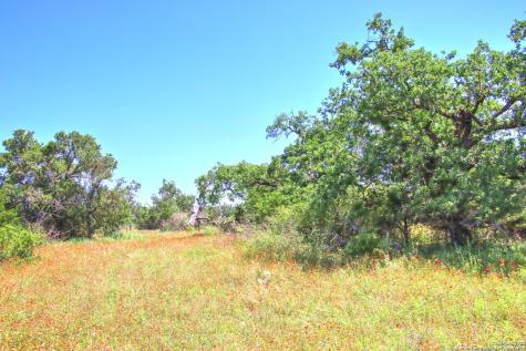 Lot 6 Rr 1323 Willow City TX 78675
