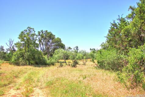 Lot 6 Rr 1323 Willow City TX 78675