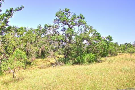 Lot 6 Rr 1323 Willow City TX 78675
