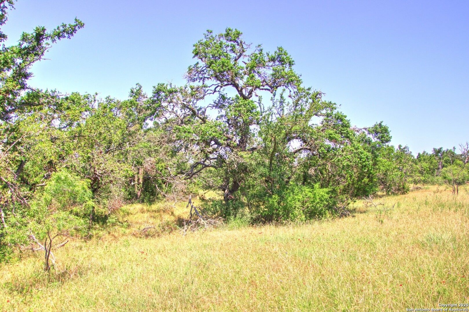 Lot 6 Rr 1323 Willow City TX 78675