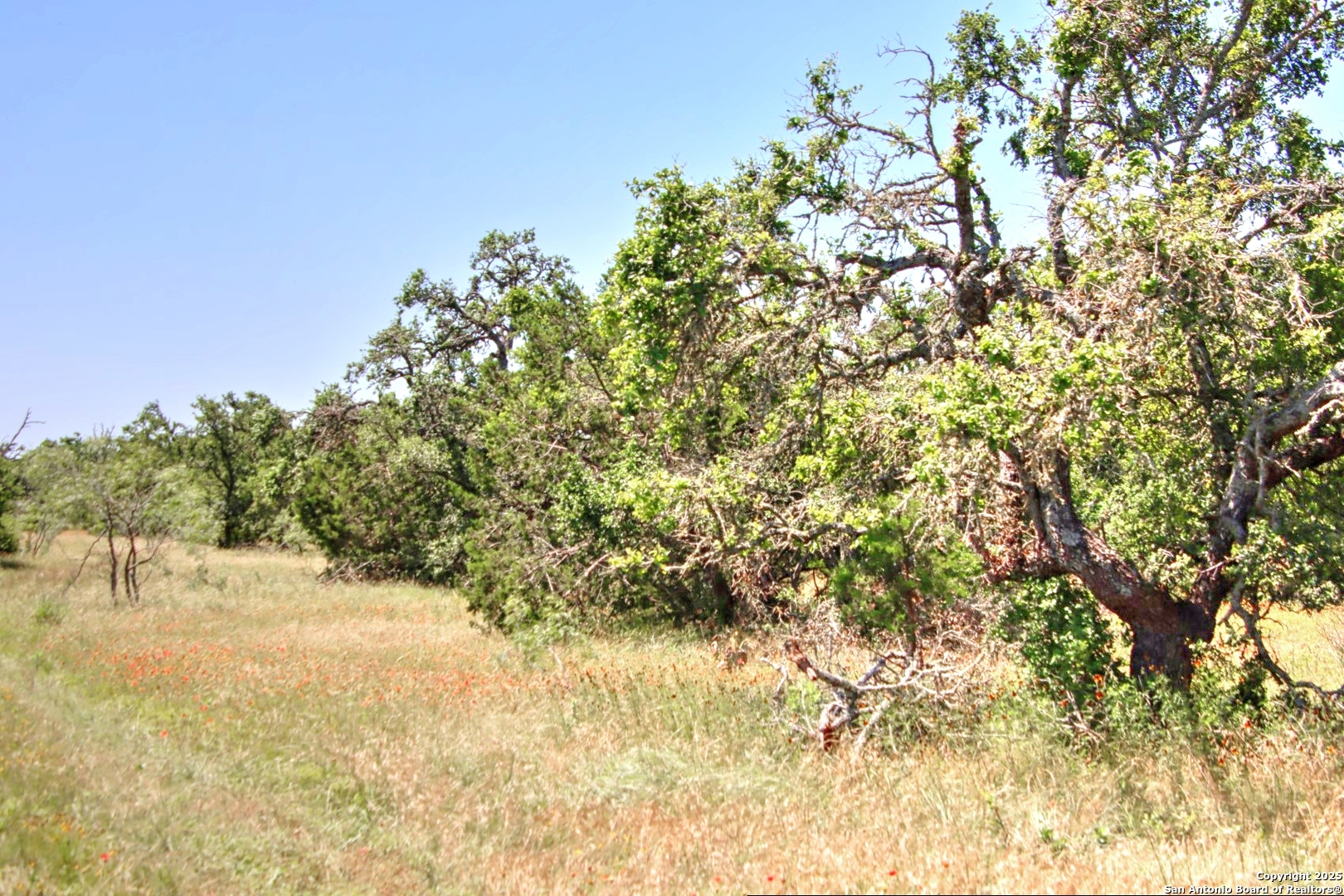 Lot 6 Rr 1323 Willow City TX 78675