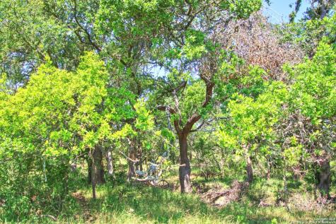 Lot 6 Rr 1323 Willow City TX 78675
