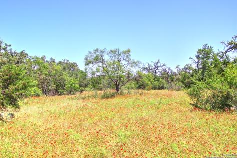 Lot 6 Rr 1323 Willow City TX 78675