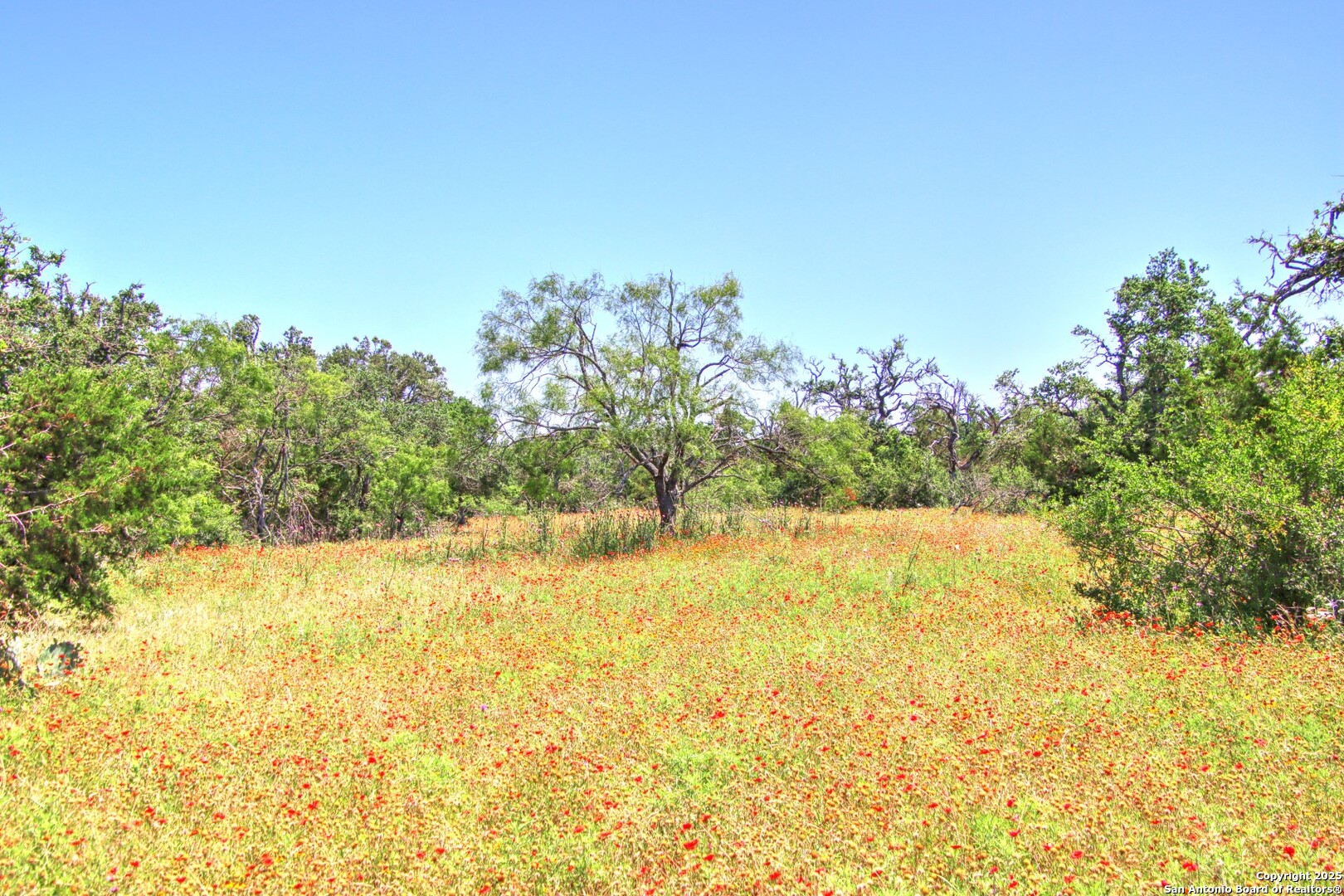 Lot 6 Rr 1323 Willow City TX 78675