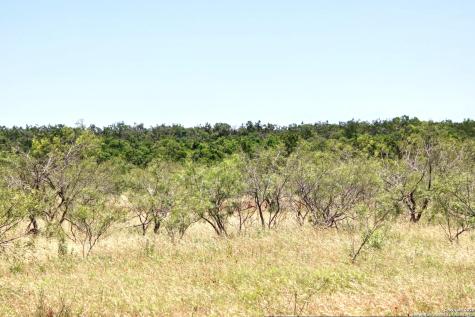 Lot 6 Rr 1323 Willow City TX 78675