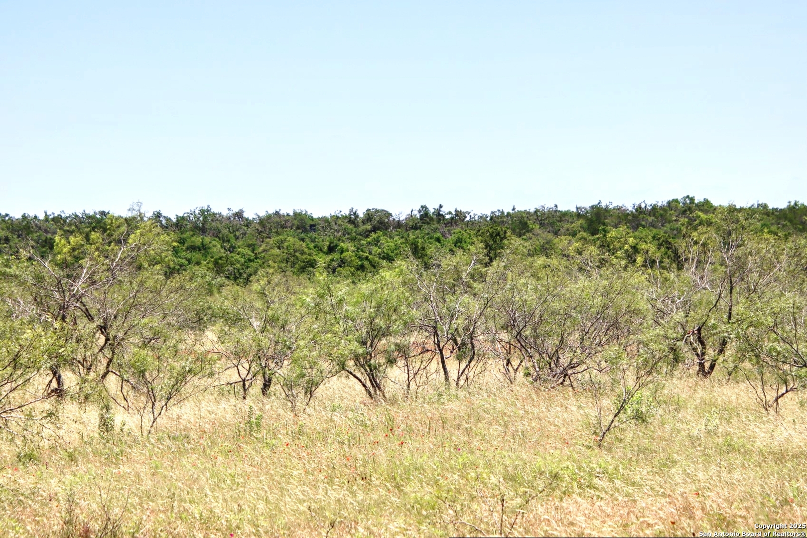 Lot 6 Rr 1323 Willow City TX 78675