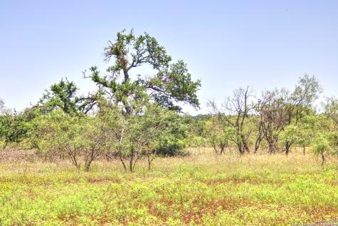 Lot 6 Rr 1323 Willow City TX 78675