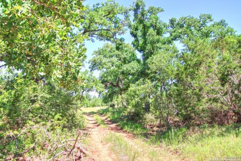 Lot 6 Rr 1323 Willow City TX 78675