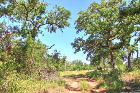 Lot 6 Rr 1323 Willow City TX 78675