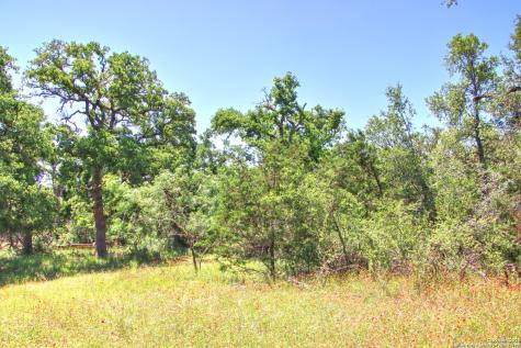 Lot 6 Rr 1323 Willow City TX 78675