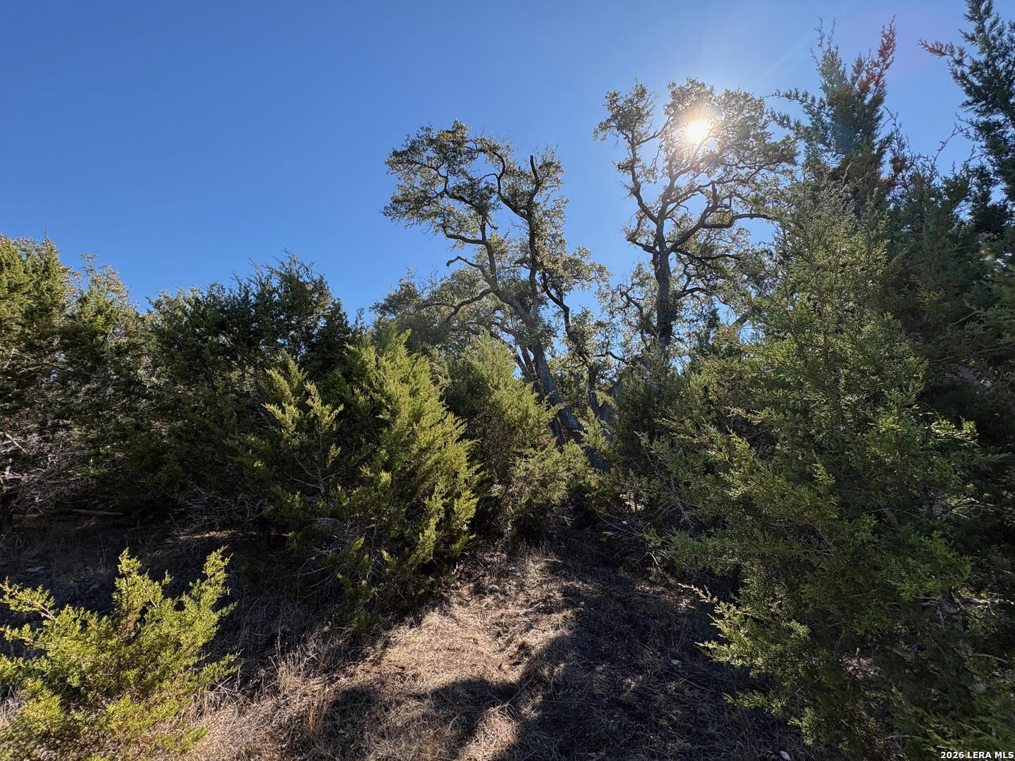 1035 (LOT 1777) Mystic Breeze Spring Branch TX 78070