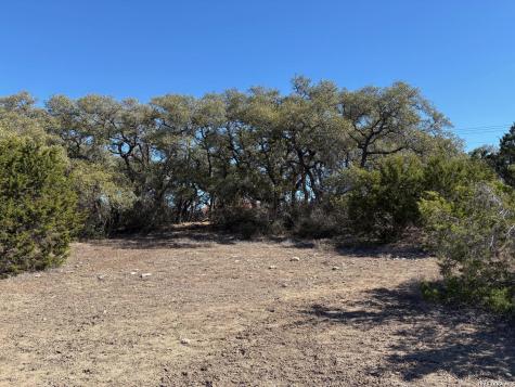 1035 (LOT 1777) Mystic Breeze Spring Branch TX 78070