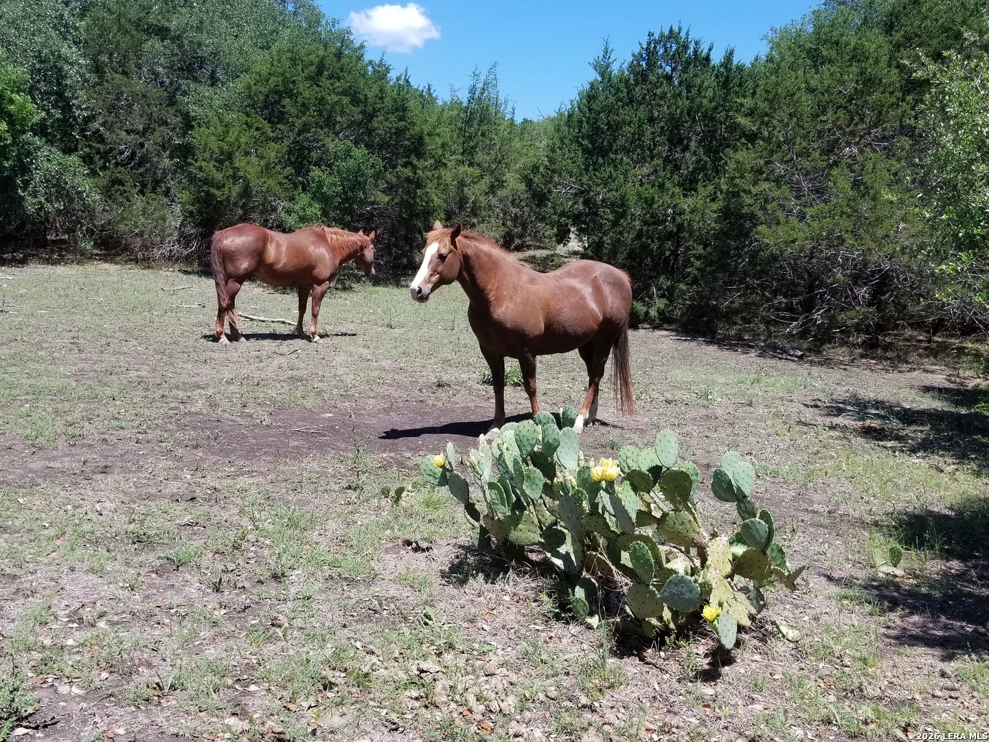 1035 (LOT 1777) Mystic Breeze Spring Branch TX 78070