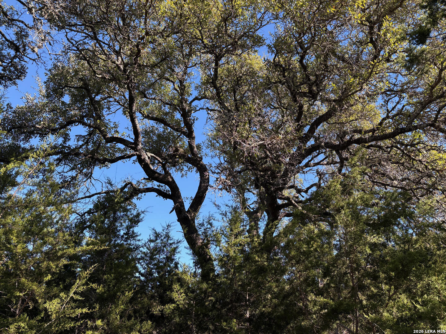 1035 (LOT 1777) Mystic Breeze Spring Branch TX 78070