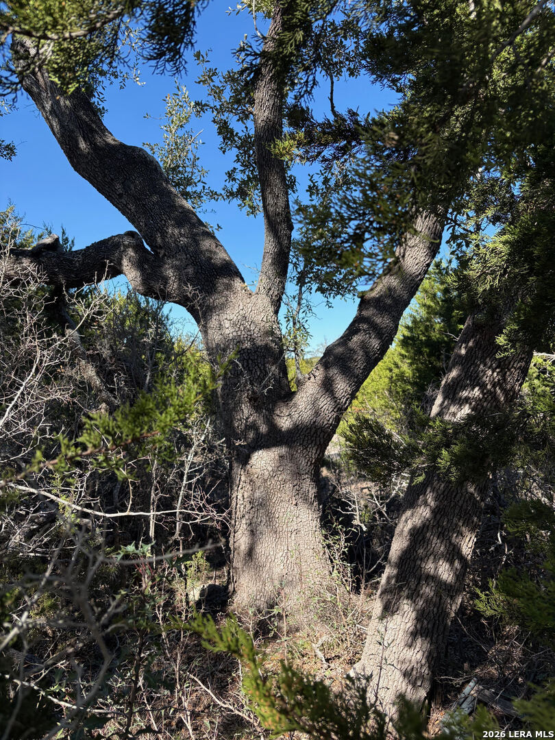 1035 (LOT 1777) Mystic Breeze Spring Branch TX 78070