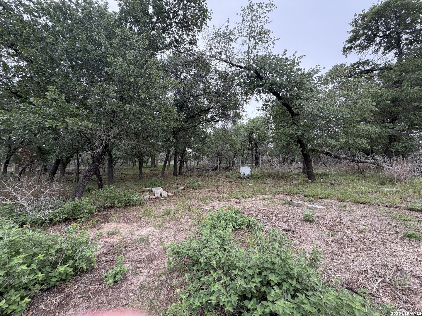 105 Clear Springs Floresville TX 78114