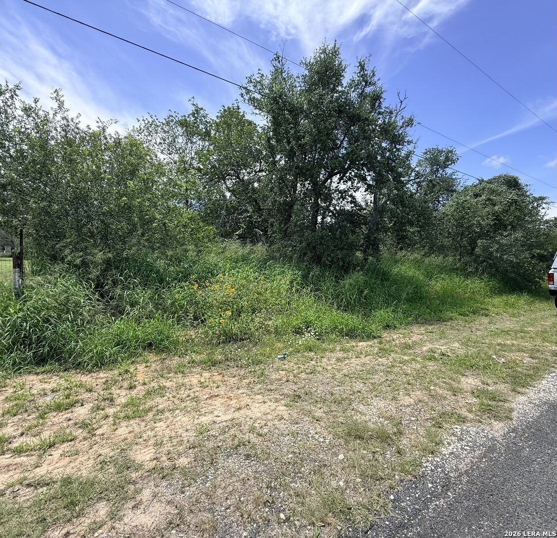 25141 Sandview San Antonio TX 78264
