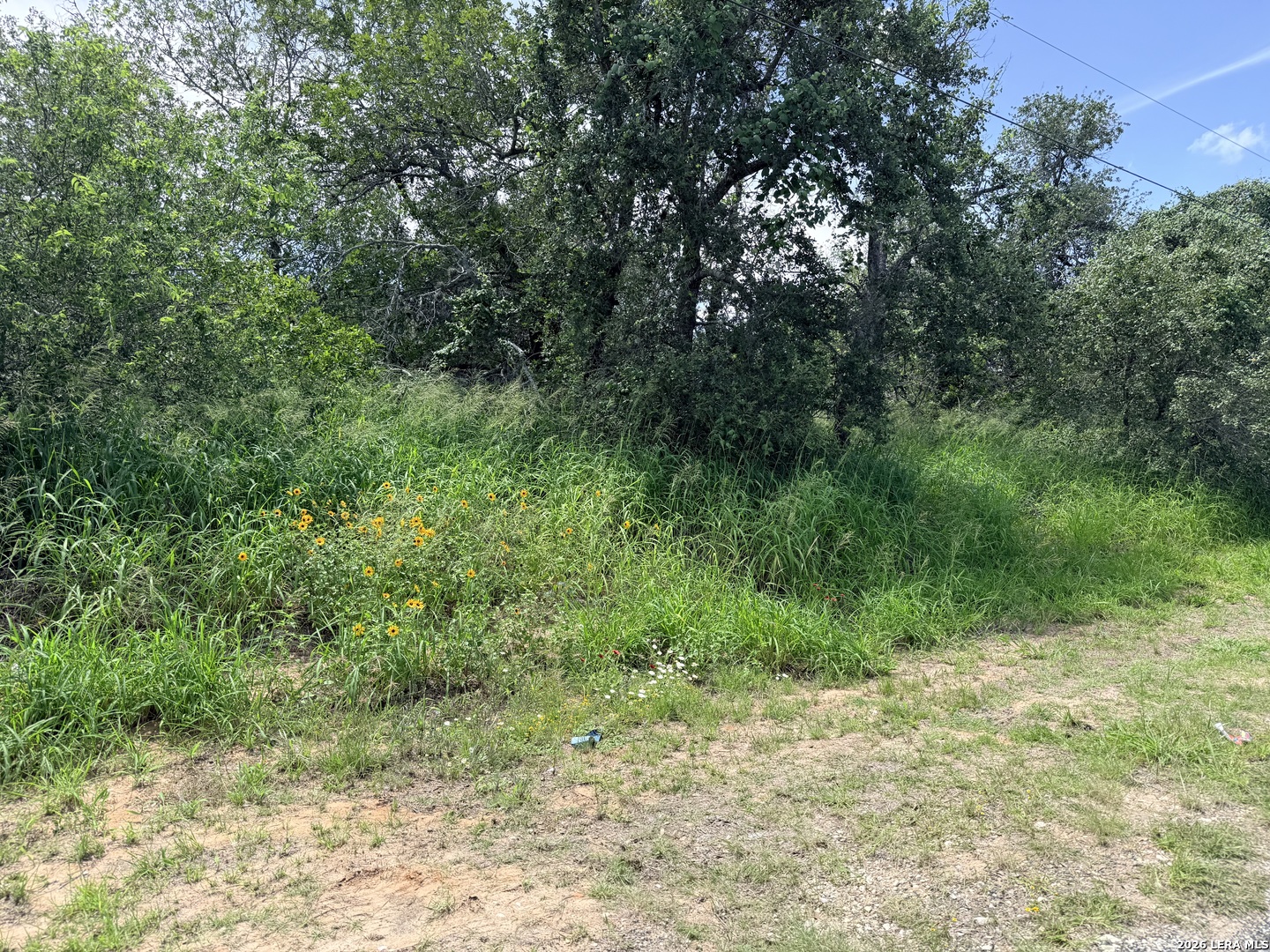 25141 Sandview San Antonio TX 78264